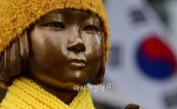 더민주·정의당, 위안부 재단 성토…"반역사적·반인권적"