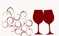와인나라 아카데미, 이탈리아 특집 ‘와인 앤 토크’ 클래스 진행