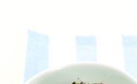 「오늘의 레시피」도토리묵밥