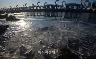 [포토]얼음 위 오리보트 