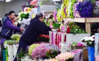 [포토]주인을 기다리는 다양한 꽃들