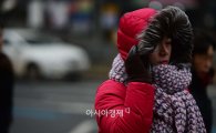 서울 체감온도 -23도...출근길 귀가 얼어붙네