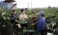 영암군 무화과, 지역농업 특성화 사업에 선정