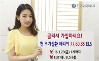 신한금투, 지수연계형 ELS 총 9종 공모