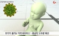 '소두증 유발' 지카바이러스 증상은? "모기 매개로 발생"