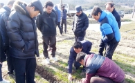 장흥군 맥류 월동 후 관리 현장 컨설팅 효과 ‘톡톡’