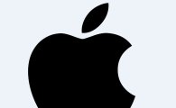 '애플이 이겼다' 美법원 "총기 테러범 아이폰 잠금장치 해제 못한다"