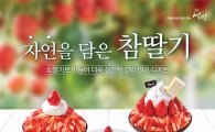 설빙, '참딸기' 3종 신제품 출시