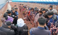 곡성군, 과수 영농현장 애로기술 찾아가서 해결