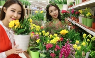 [포토] 화사한 봄꽃, 봄기운이 물씬~