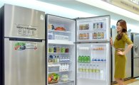 삼성, 프리미엄급 일반형 냉장고 출시…"독립 냉각시스템 적용"