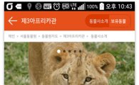 "코끼리 해설 저절로"…서울대공원, 스마트폰 앱으로 OK