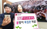 [통신 콘텐츠전쟁]LG유플러스는 'LTE 비디오 포털'로 승부수 띄운다