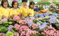 농협유통, 새봄맞이 봄꽃축제 최대 30% 할인