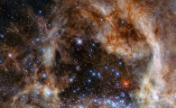 [스페이스]허블망원경…'괴물 별' 만나다