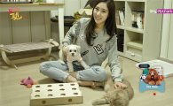 신세계TV쇼핑, 반려동물 채널서 '연동형 T-커머스' 시작