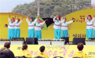일본 운젠시 시민단체, 구례산수유꽃축제 만끽