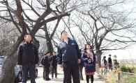 [포토]여의도 봄꽃축제 벚나무 점검  