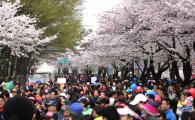 서울, 봄꽃과 문화의 향기에 빠지다