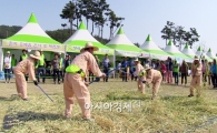 영광찰보리문화축제 준비 한창!!