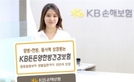 KB손보, ‘KB든든양한방건강보험’ 출시