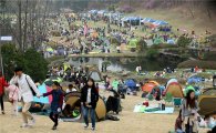 '골프장서 꽃놀이'…리베라CC '벚꽃 축제'에 3만여명 찾아