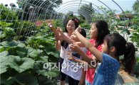 전남도교육청,'2016 농업체험프로그램 운영학교’선정 