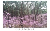 15~30일 여주 세종대왕릉 진달래동산 개방