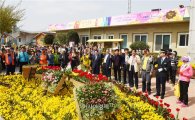 장성 빈센트의 정원 "노란 꽃내음에 취하다"