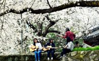 [포토]시골소녀들이 전하는 '벚꽃엔딩'