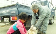 함평군, 마을순회 가축방역 예방접종 총력