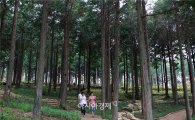 장흥 편백숲 우드랜드 “청정공기” 입증 연구 주목