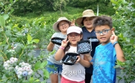 순창군 농업기술센터, 블루베리 분양농장 설명회 성료 