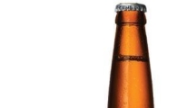 소주 이어 맥줏값도 오른다…내달 최대 5% 인상 