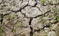 충남 일부 '봄 가뭄' 극심…7월에나 풀린다 