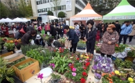 강남구, 농산물과 봄꽃 식물 장터 개장