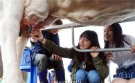 [포토]젖소 우유 짜기 체험하는 어린이들