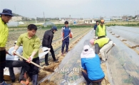 진도군, 2016 농촌일손돕기 본격 추진
