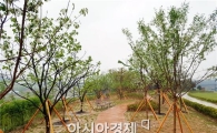 고창군 ‘아름다운 마을’에 나눔 숲이 생겼어요 
