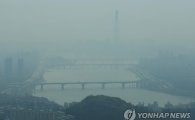 한국 공기질 180개국 중 173위, 종합 순위 대폭 하락…환경 상태 심각