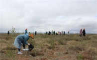 인천시 '사막화' 몽골에 희망의 숲 조성…67㏊에 9만8천주 식재