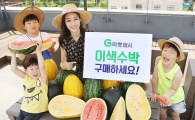 이른 더위덕에 수박 잘 팔리네…전월비 5.3배↑