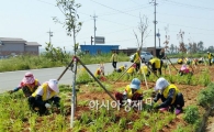 영암군, 신북면 노인일자리 참여자 구슬땀 
