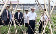 농업 한류…18개 품종 베트남에 뿌리내렸다