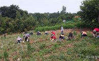 함평교육지원청,‘농번기’농촌일손 돕기 나서 