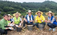 광주은행-대구은행, 달빛동맹 농촌 일손돕기 봉사활동 펼쳐