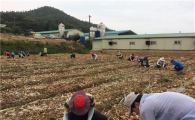 전남도, 막바지 농촌 일손 돕기 구슬땀