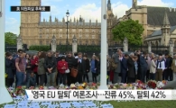 英의원 피살 후폭풍…브렉시트 여론조사 ‘반대>찬성’ 역전 조짐