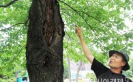구례향교 인문학 강연, "나무에게 배우는 삶의 지혜" 강연