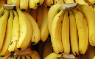 석달새 신제품만 30개…바나나맛 제품, '풍요 속 빈곤'
